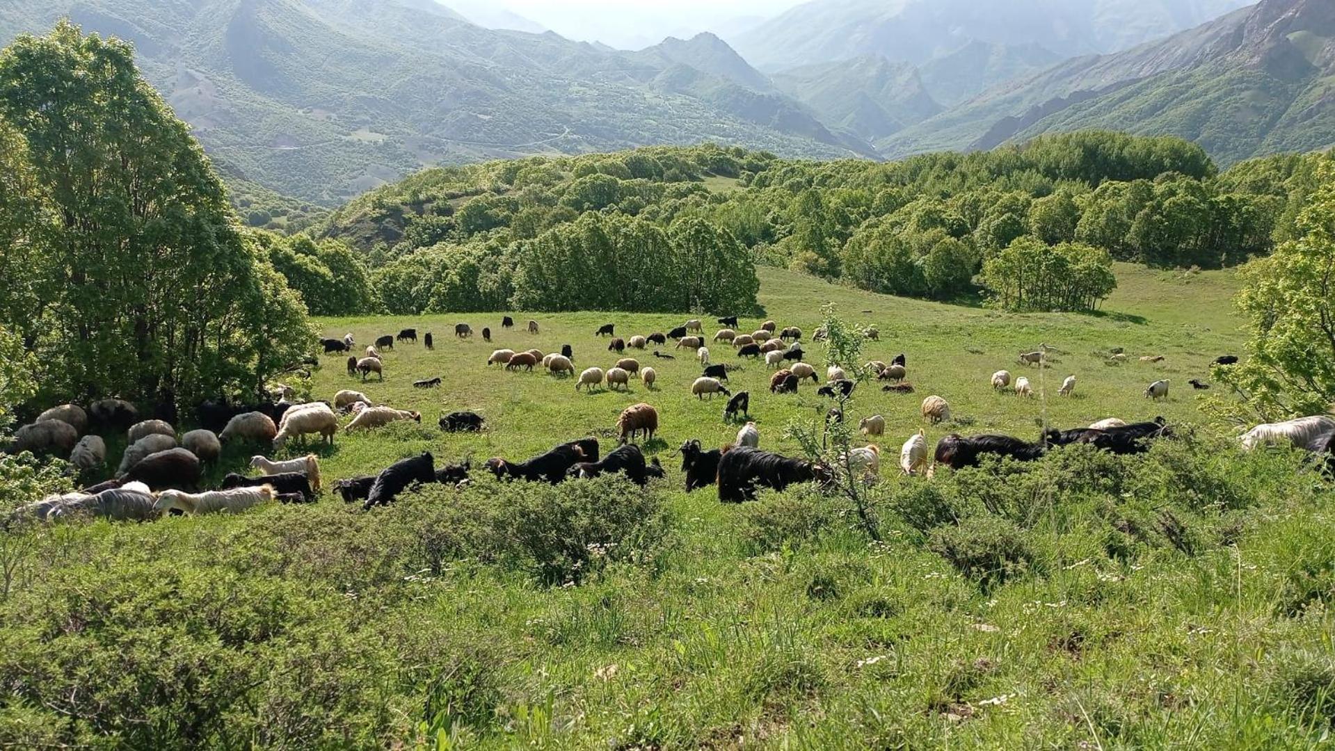 Askireg Hotel Tunceli 외부 사진